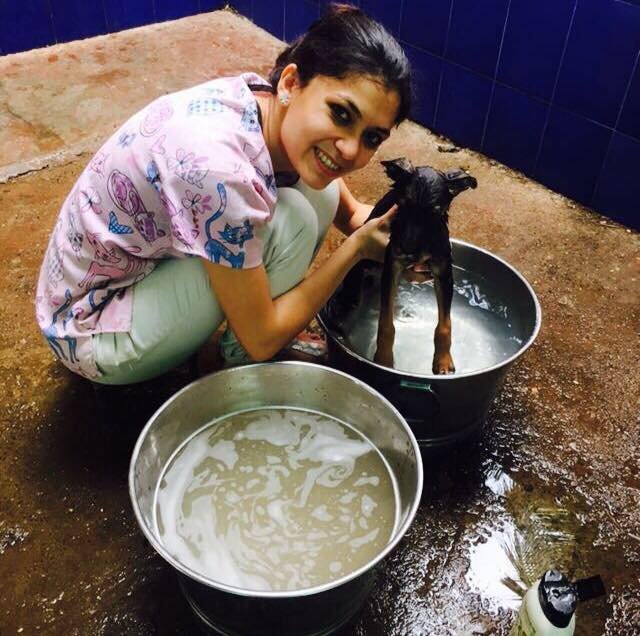 Dr Ankita Pathak