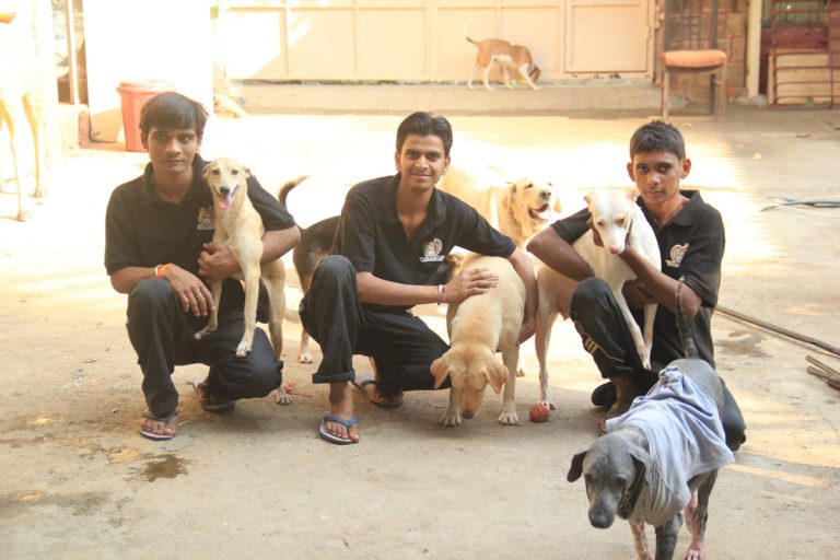 Volunteer at AMTM | Mumbai based Animal NGO