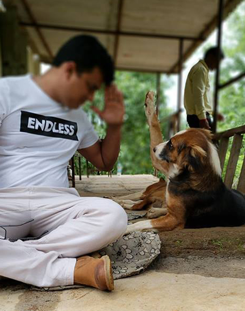 Learn about Animals Matter To Me | Mumbai based Animal NGO
