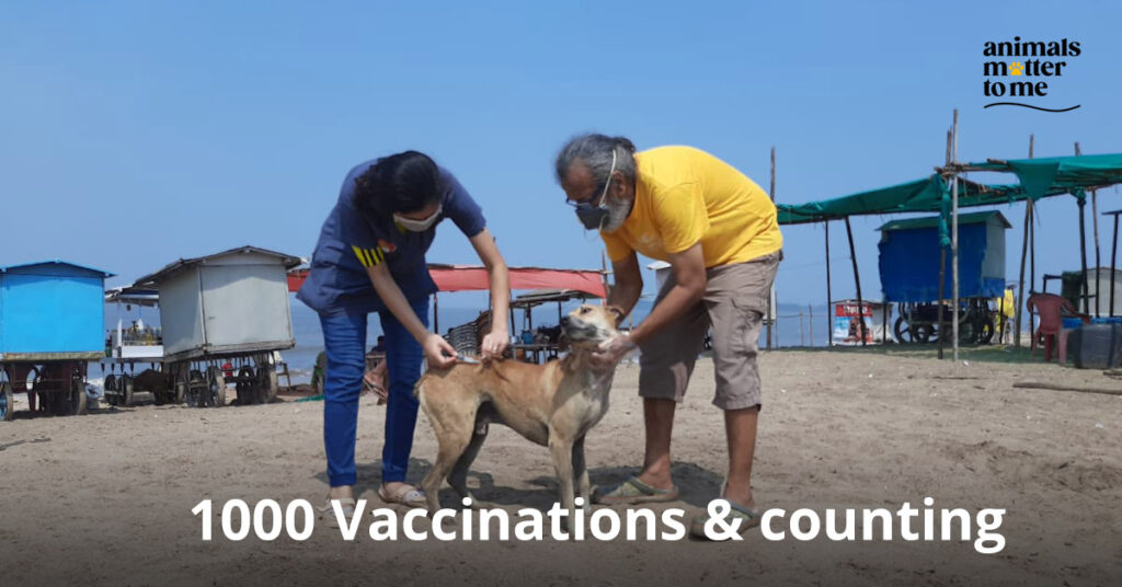 1000 vaccinations