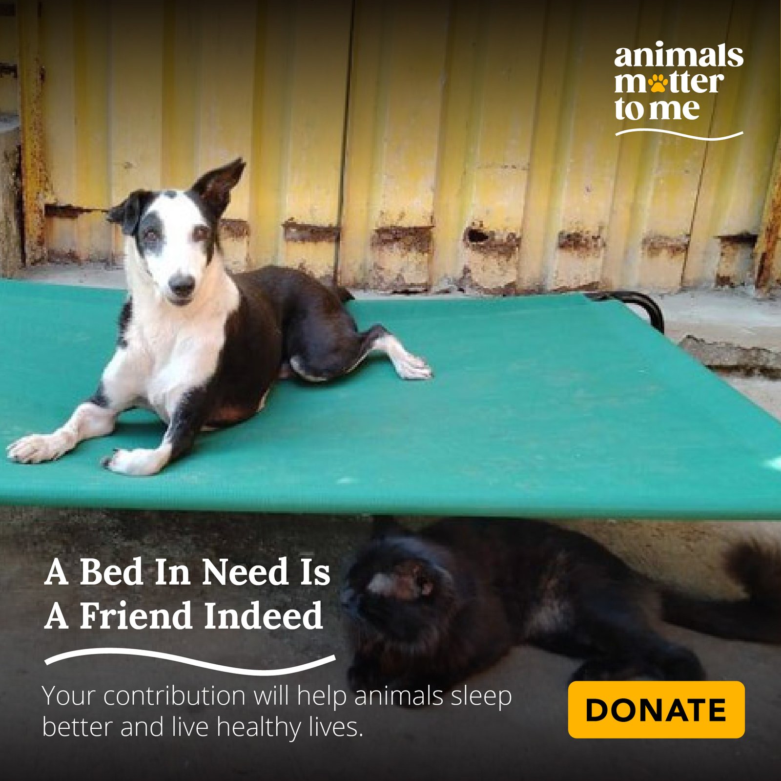 Animals matter dog clearance bed reviews