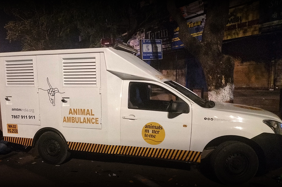 Animal Ambulance - Animals Matter To Me