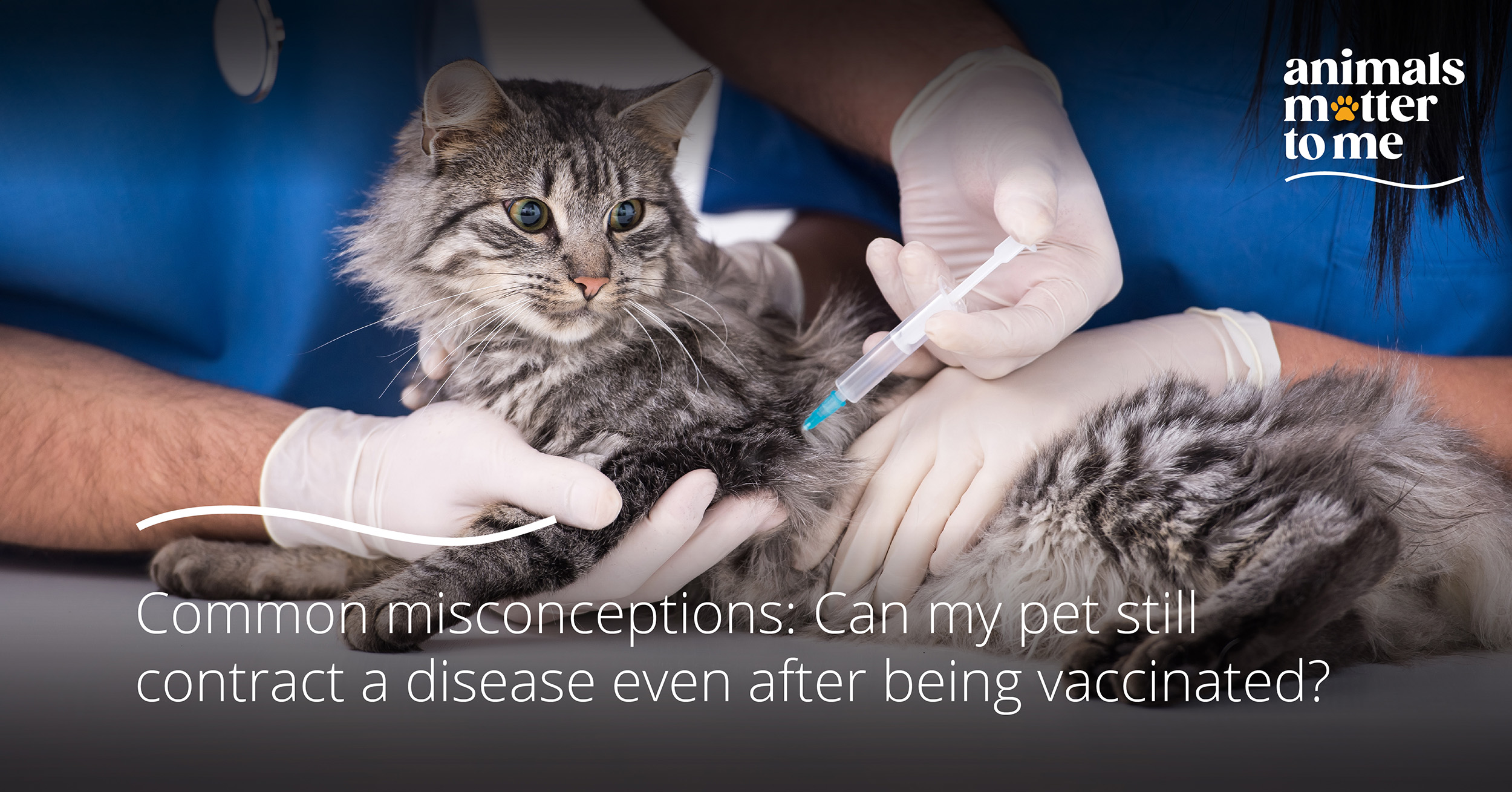 Pet vaccination