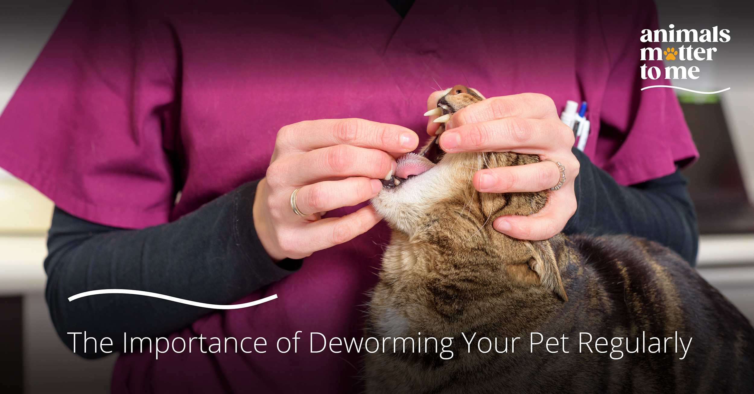 Deworming-Your-Pet