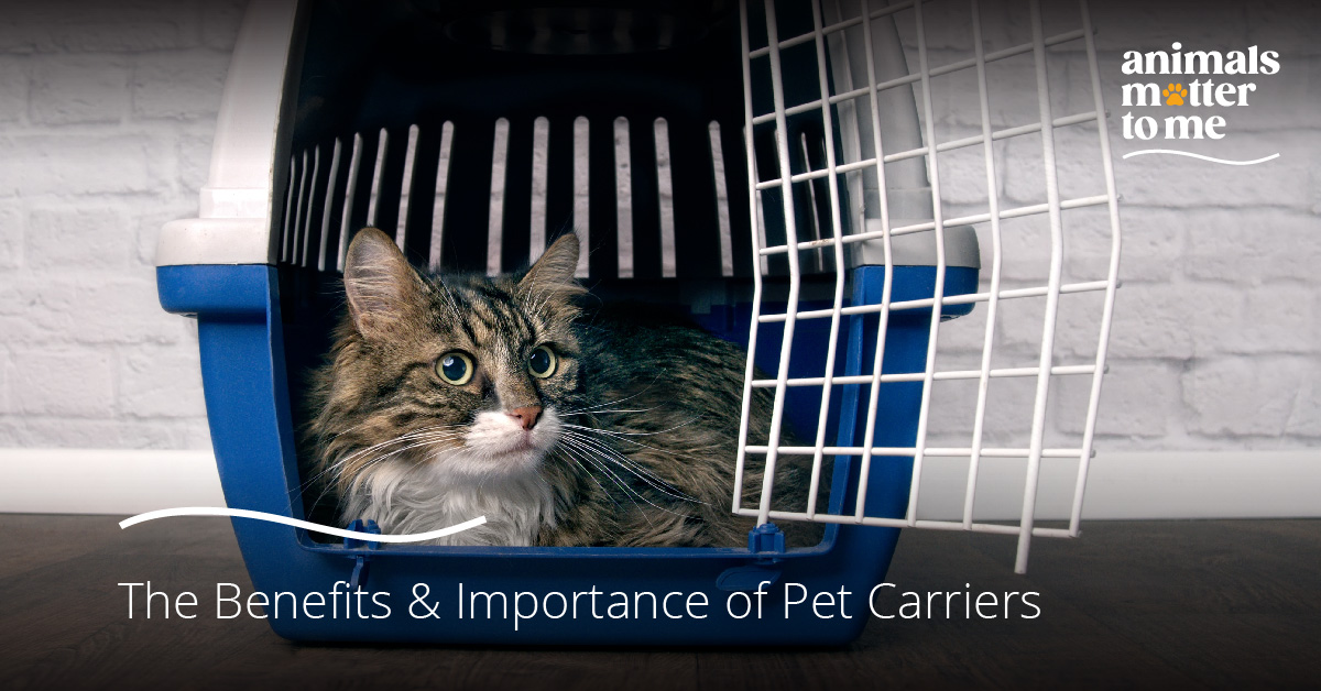The-Benefits-Importance-of-Pet-Carriers