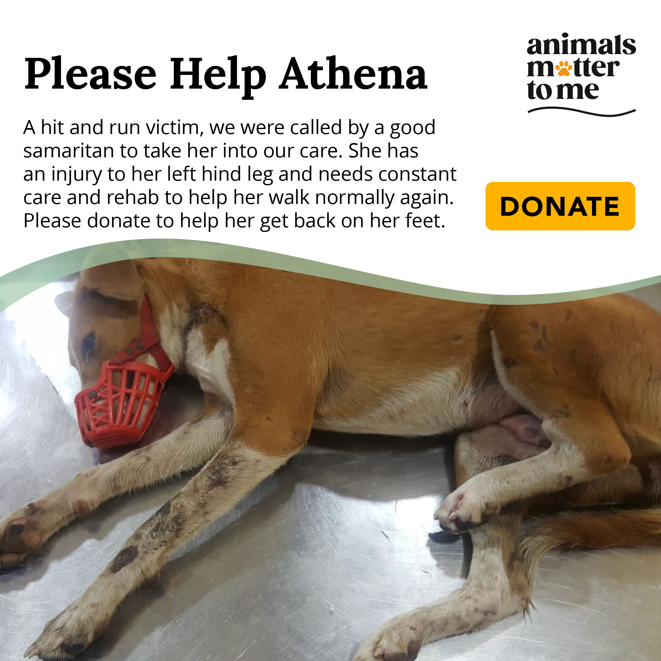 Athena - Animal Case
