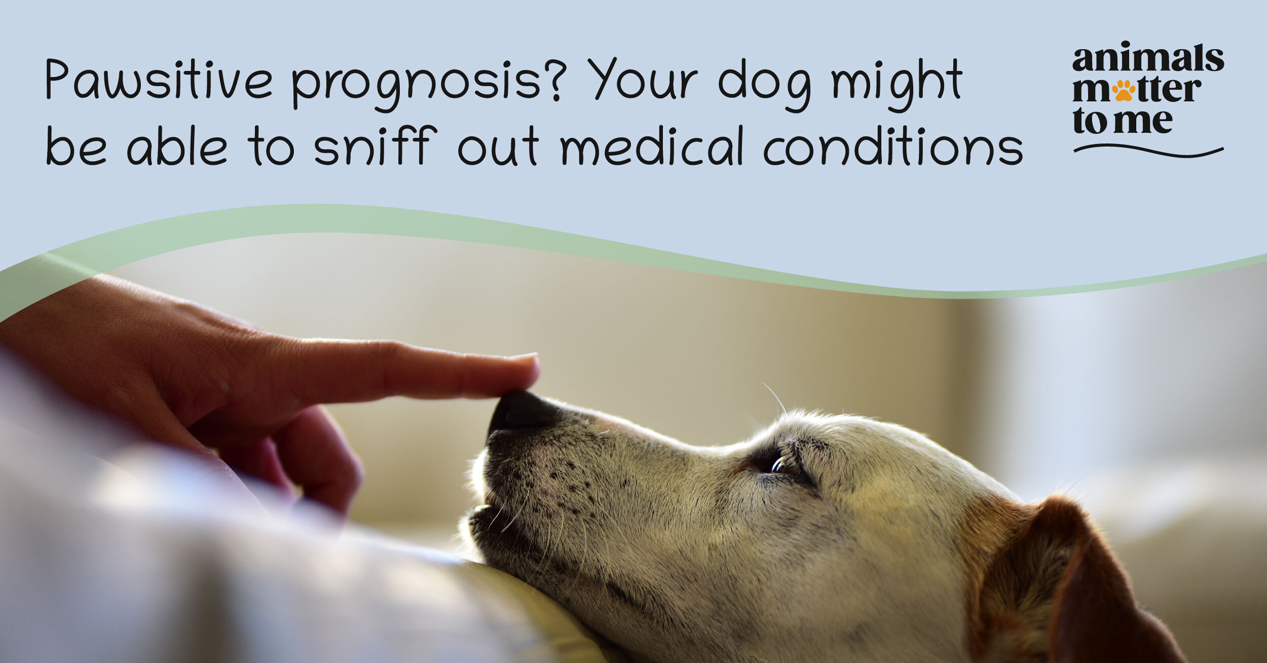 Pawsitive prognosis? Your dog might be able to sniff out your medical condition - Blog Cover