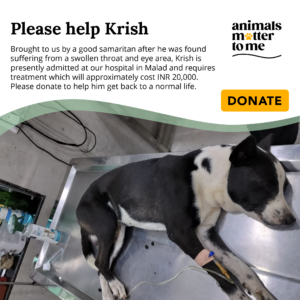 Krish - Animal Case