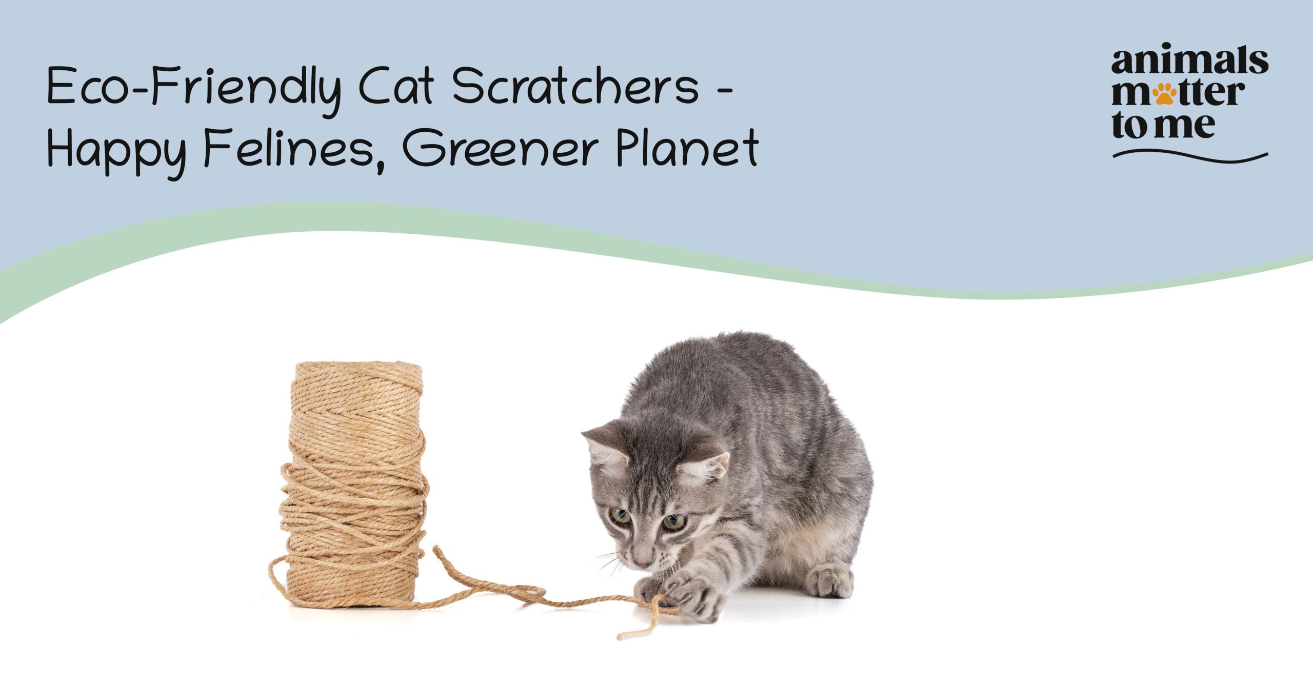Eco-friendly cat scratchers - Blog Cover