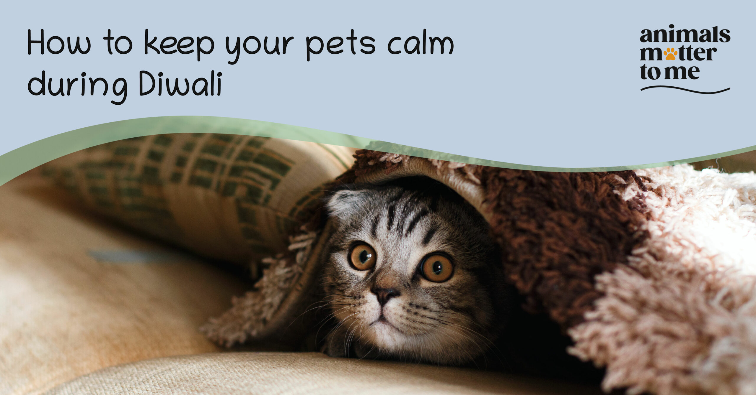 How to keep your pets calm during Diwali - Blog Cover