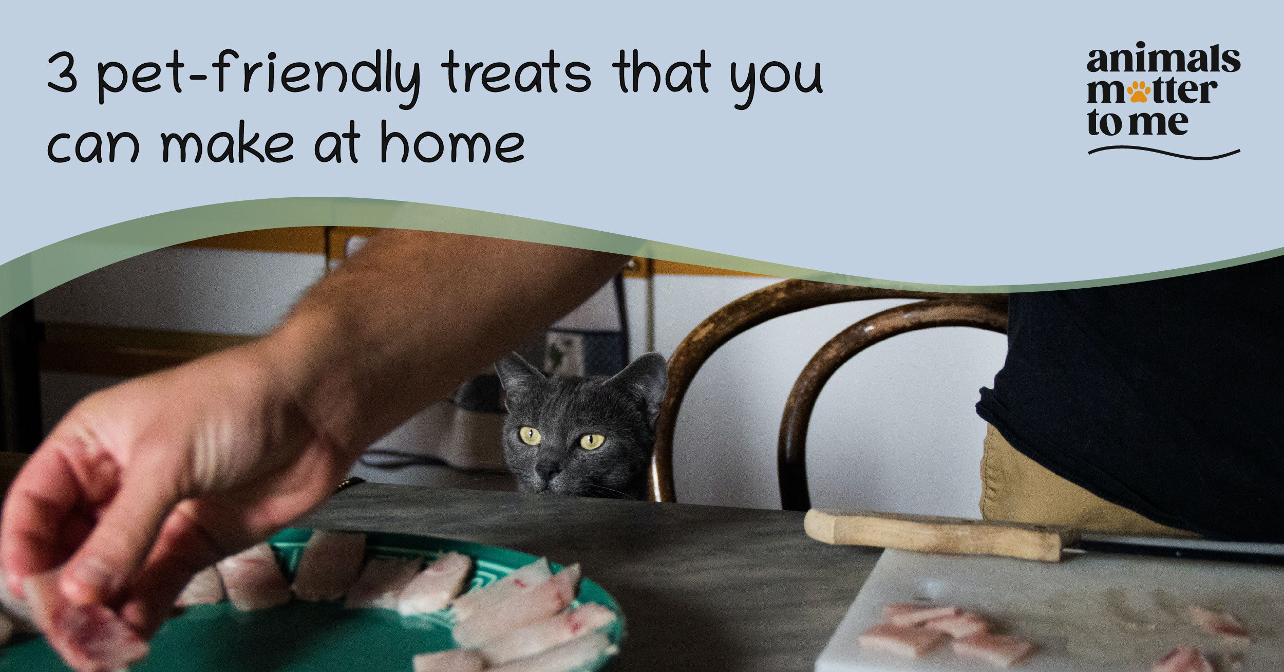 For a pet owner, there is no greater satisfaction than watching your furry friend enjoy a good meal. Here are 3 simple, pet-friendly recipes that you can make at home. - Blog Cover