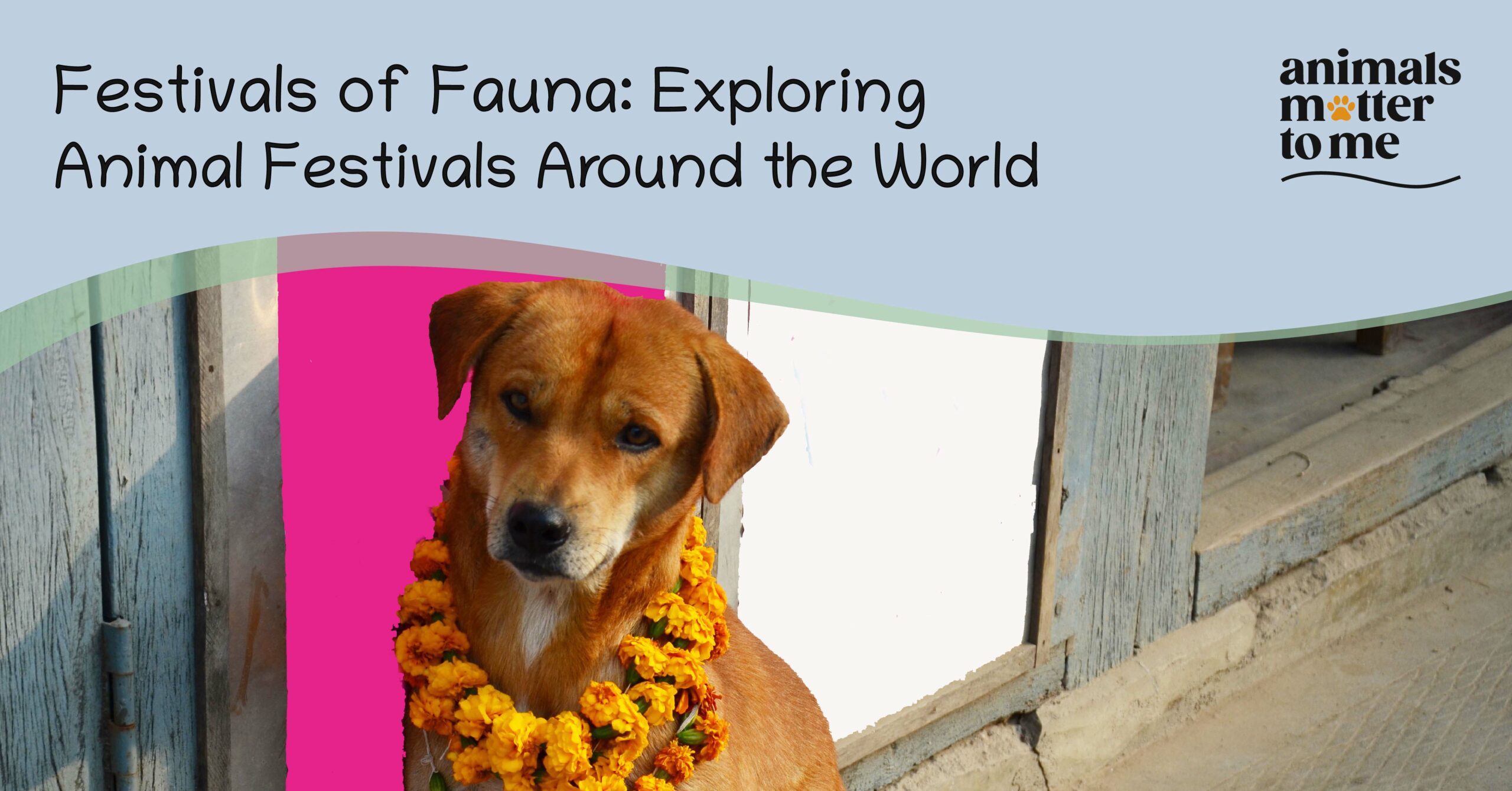 Festivals of Fauna: Exploring Animal Festivals Around the World