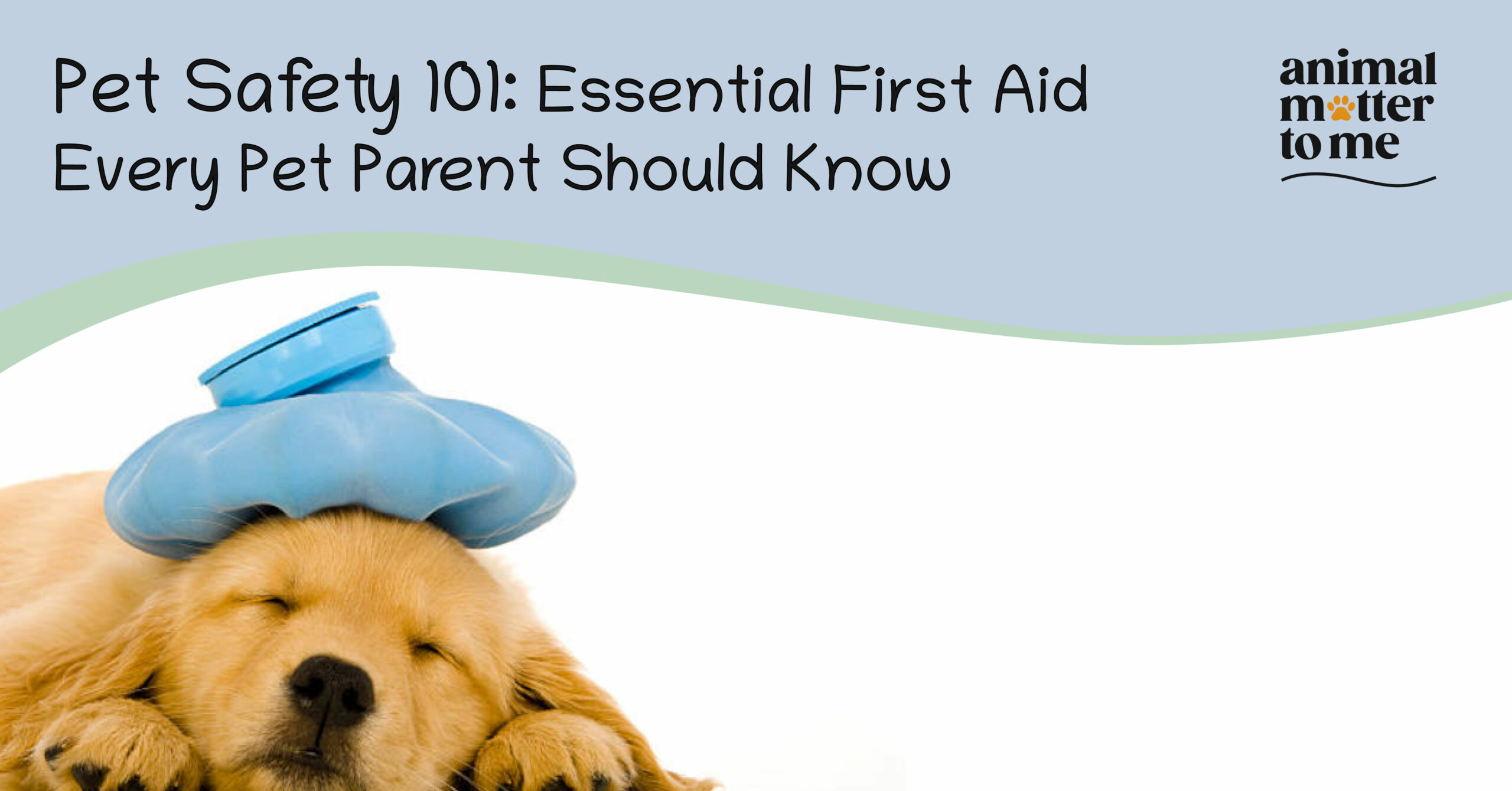 Pet Safety 101: Essential First Aid Every Pet Parent Should Know