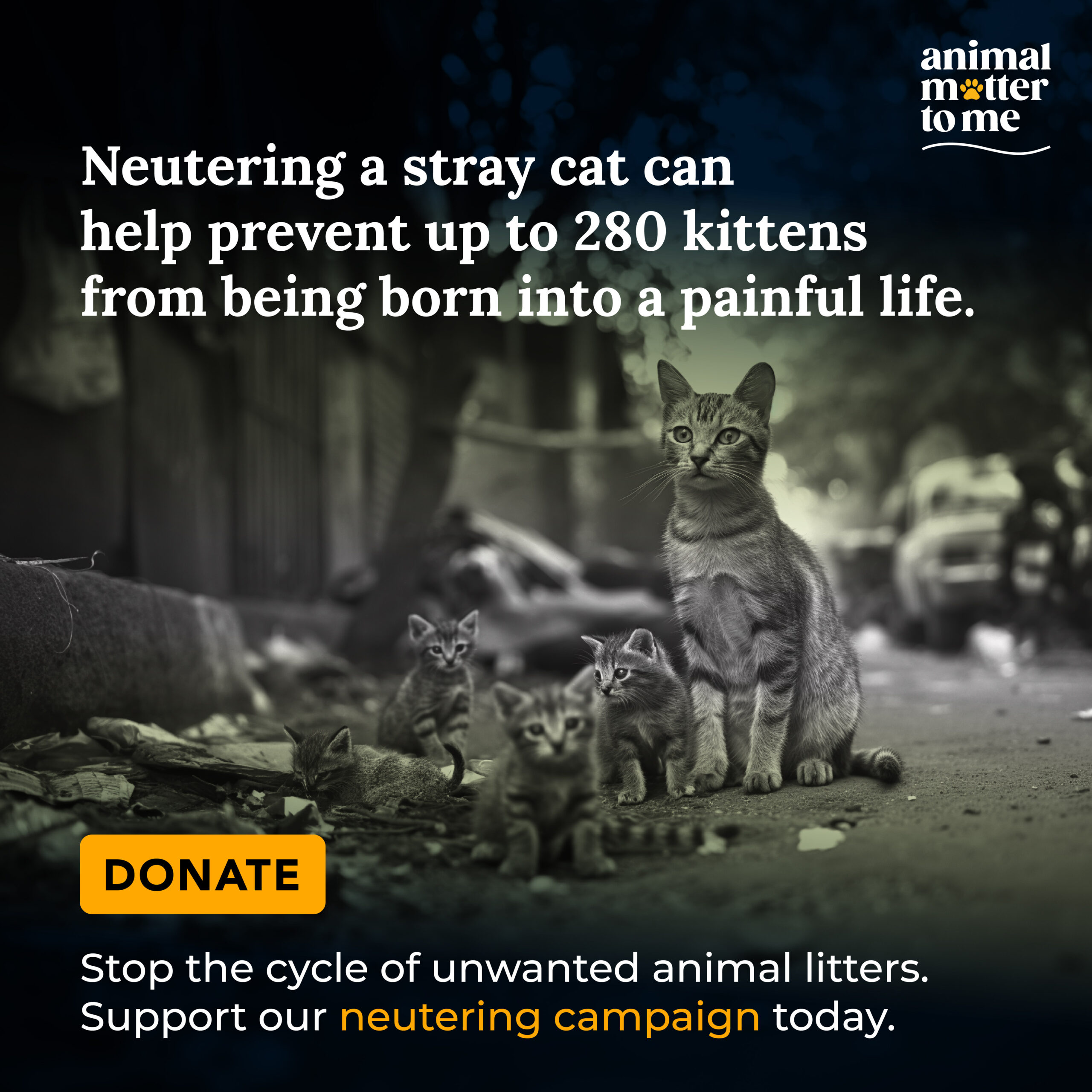 neuter-today-animal-matter-to-me